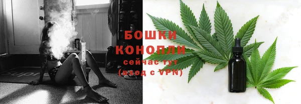 PSILOCYBIN Пересвет